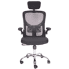 ECMX10032.1
