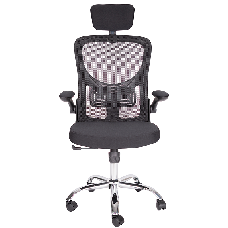 ECMX10032.1